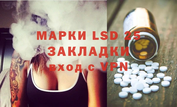 стафф Алзамай