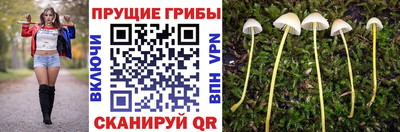 Галлюциногенные грибы MAGIC MUSHROOMS  Кизилюрт 